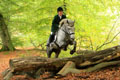 Palatine Monty